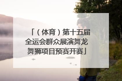 （体育）第十五届全运会群众展演舞龙舞狮项目预赛开赛