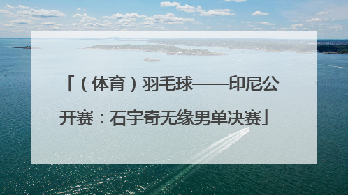 （体育）羽毛球——印尼公开赛：石宇奇无缘男单决赛