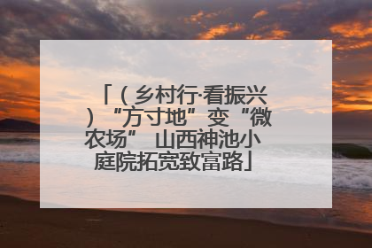 （乡村行·看振兴）“方寸地”变“微农场” 山西神池小庭院拓宽致富路