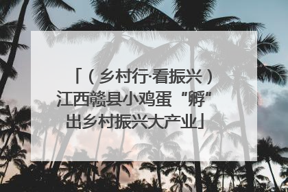 （乡村行·看振兴）江西赣县小鸡蛋“孵”出乡村振兴大产业