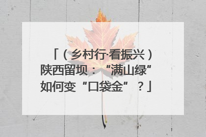 （乡村行·看振兴）陕西留坝：“满山绿”如何变“口袋金”？