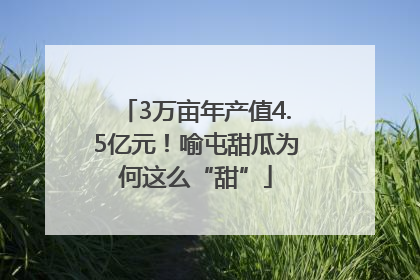 3万亩年产值4.5亿元！喻屯甜瓜为何这么“甜”