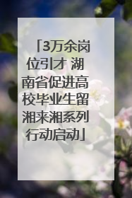 3万余岗位引才 湖南省促进高校毕业生留湘来湘系列行动启动