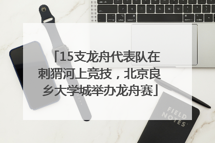 15支龙舟代表队在刺猬河上竞技，北京良乡大学城举办龙舟赛