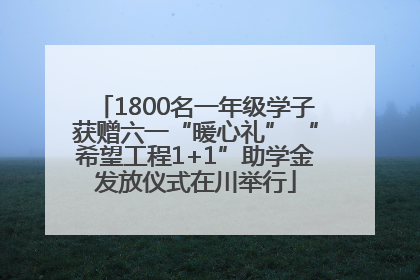 1800名一年级学子获赠六一“暖心礼” “希望工程1+1”助学金发放仪式在川举行