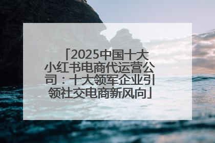 2025中国十大小红书电商代运营公司：十大领军企业引领社交电商新风向