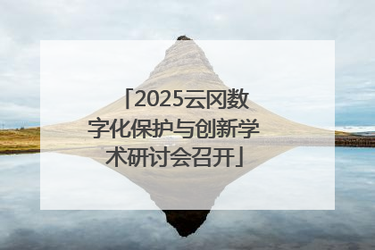 2025云冈数字化保护与创新学术研讨会召开