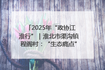 2025年“政协江淮行”｜淮北市渠沟镇程阁村：“生态痛点”变“生态景观”
