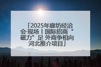2025年廊坊经洽会·现场丨国际招商“磁力”足 外商争相向河北推介项目