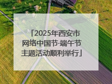 2025年西安市网络中国节·端午节主题活动顺利举行