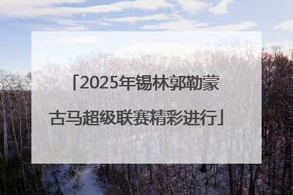 2025年锡林郭勒蒙古马超级联赛精彩进行
