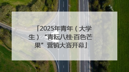 2025年青年（大学生）“青耘八桂·百色芒果”营销大赛开幕