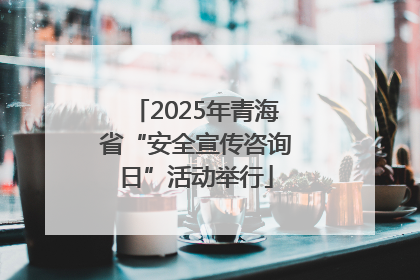 2025年青海省“安全宣传咨询日”活动举行