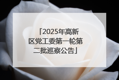 2025年高新区党工委第一轮第二批巡察公告