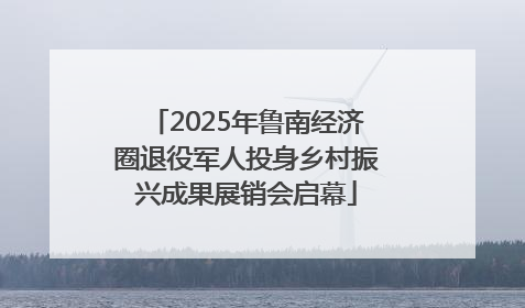 2025年鲁南经济圈退役军人投身乡村振兴成果展销会启幕