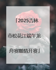 2025吉林市松花江端午龙舟赛燃情开赛
