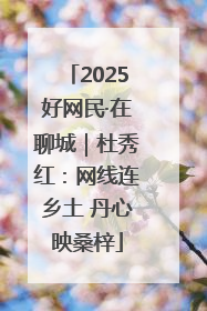 2025好网民·在聊城｜杜秀红：网线连乡土 丹心映桑梓