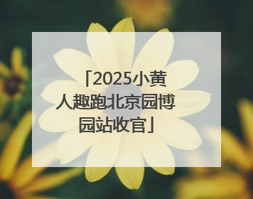 2025小黄人趣跑北京园博园站收官