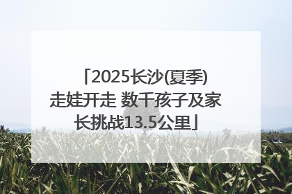 2025长沙(夏季)走娃开走 数千孩子及家长挑战13.5公里