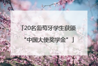 20名葡萄牙学生获颁“中国大使奖学金”