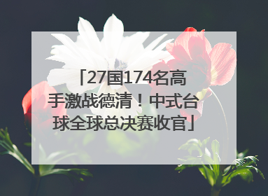 27国174名高手激战德清！中式台球全球总决赛收官