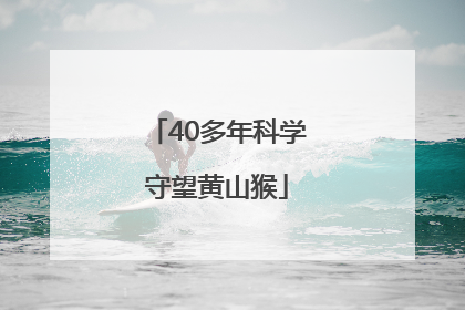 40多年科学守望黄山猴