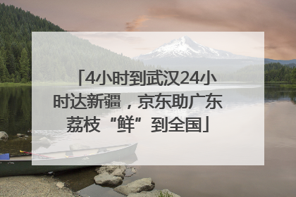 4小时到武汉24小时达新疆，京东助广东荔枝“鲜”到全国