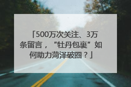 500万次关注、3万条留言，“牡丹包裹”如何助力菏泽破圈？