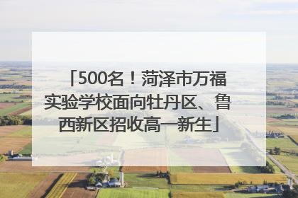 500名！菏泽市万福实验学校面向牡丹区、鲁西新区招收高一新生