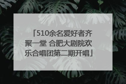 510余名爱好者齐聚一堂 合肥大剧院欢乐合唱团第二期开唱