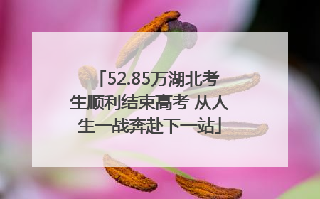 52.85万湖北考生顺利结束高考 从人生一战奔赴下一站