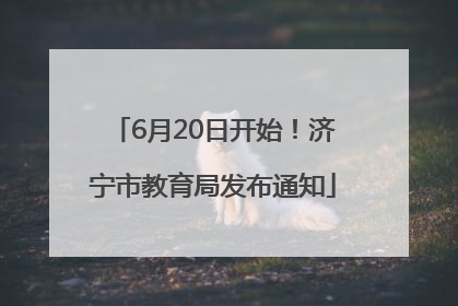 6月20日开始！济宁市教育局发布通知