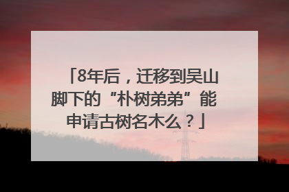8年后，迁移到吴山脚下的“朴树弟弟”能申请古树名木么？