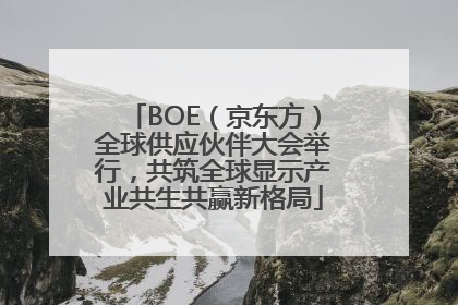 BOE（京东方）全球供应伙伴大会举行，共筑全球显示产业共生共赢新格局