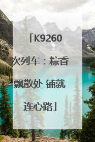 K9260次列车：粽香飘散处 铺就连心路