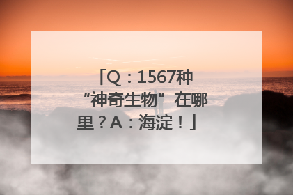 Q：1567种“神奇生物”在哪里？A：海淀！