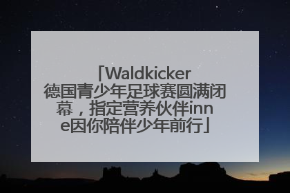 Waldkicker德国青少年足球赛圆满闭幕，指定营养伙伴inne因你陪伴少年前行